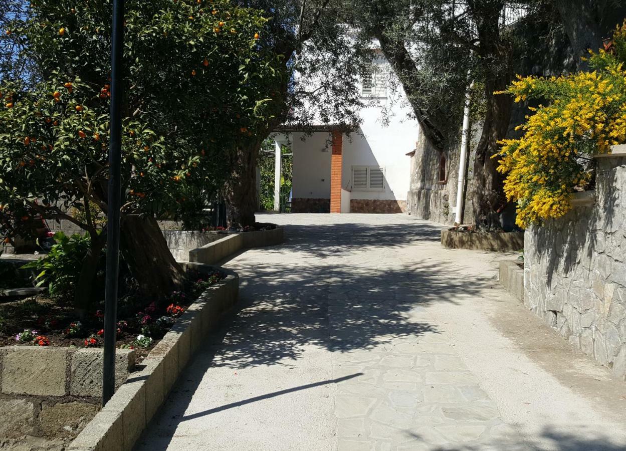 La Scaletta Casa Vacanze Massa Lubrense Dış mekan fotoğraf
